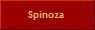 Spinoza 